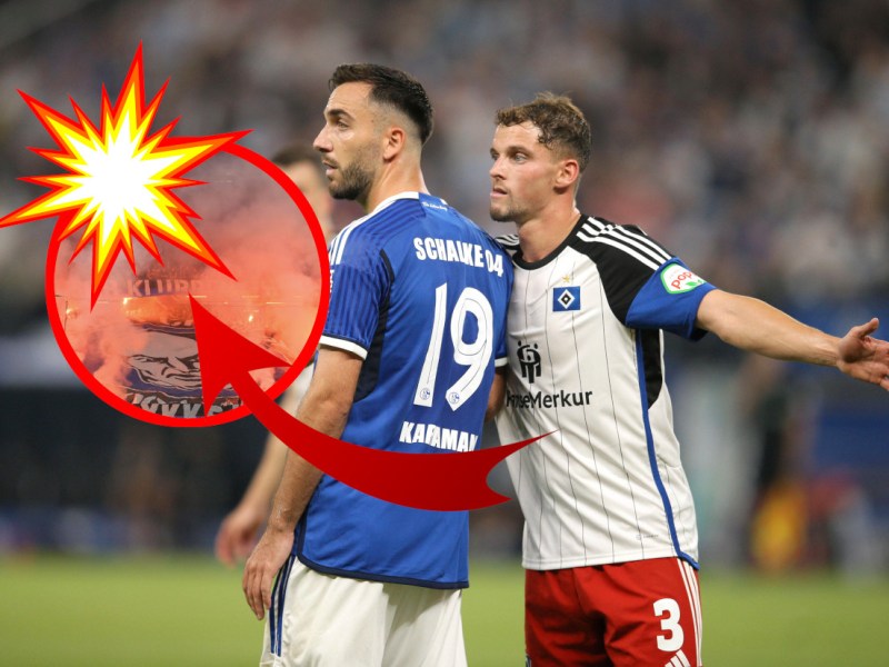 FC Schalke 04 Hamburger SV