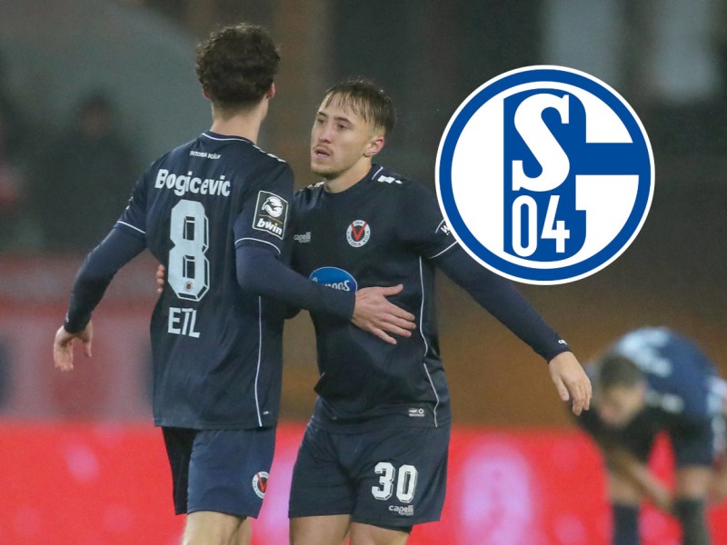 FC Schalke 04 Marseiler Bogicevic