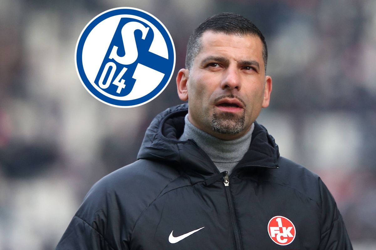 fc schalke 04 s04 grammozis