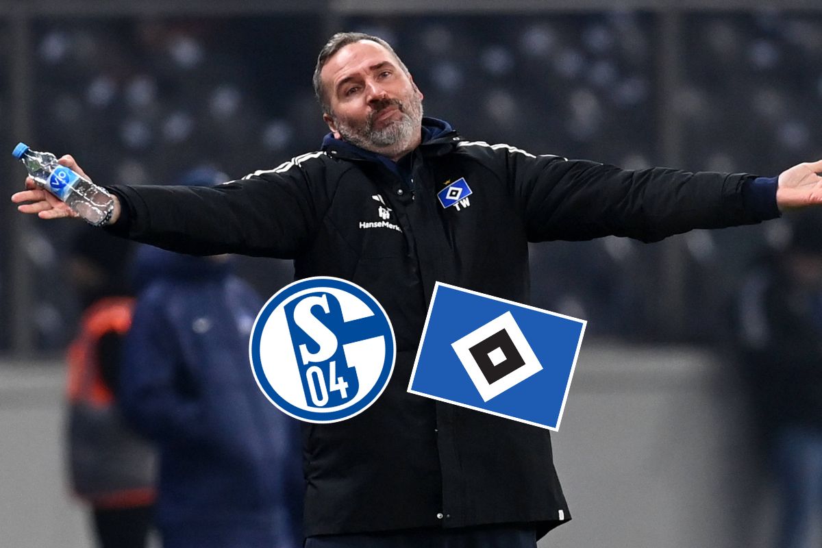 FC Schalke 04 S04 Hamburger SV HSV