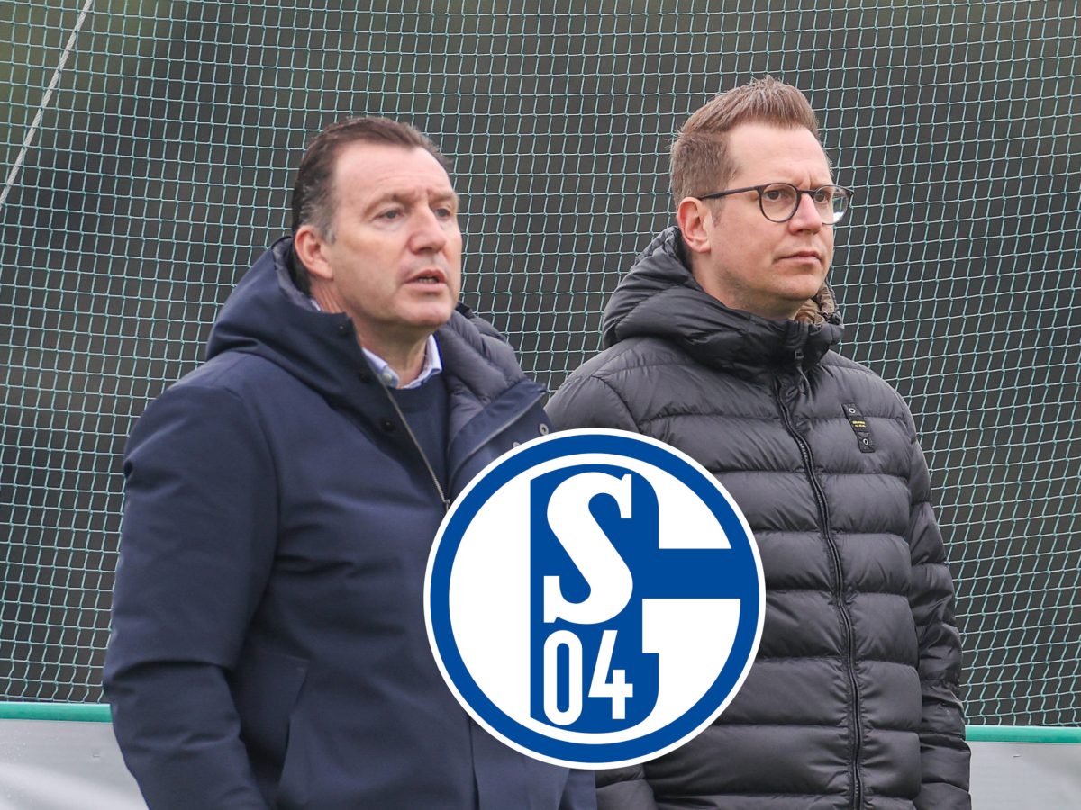 FC Schalke 04 Transfers