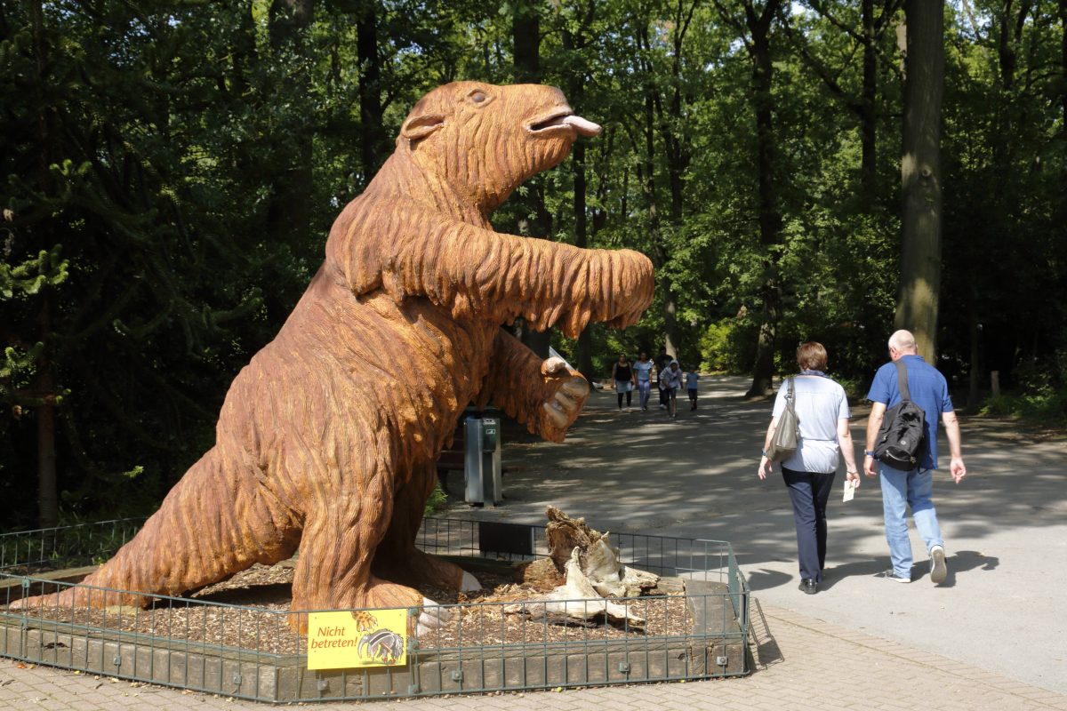 Zoo Dortmund: Tiere stehen vor "Problem".