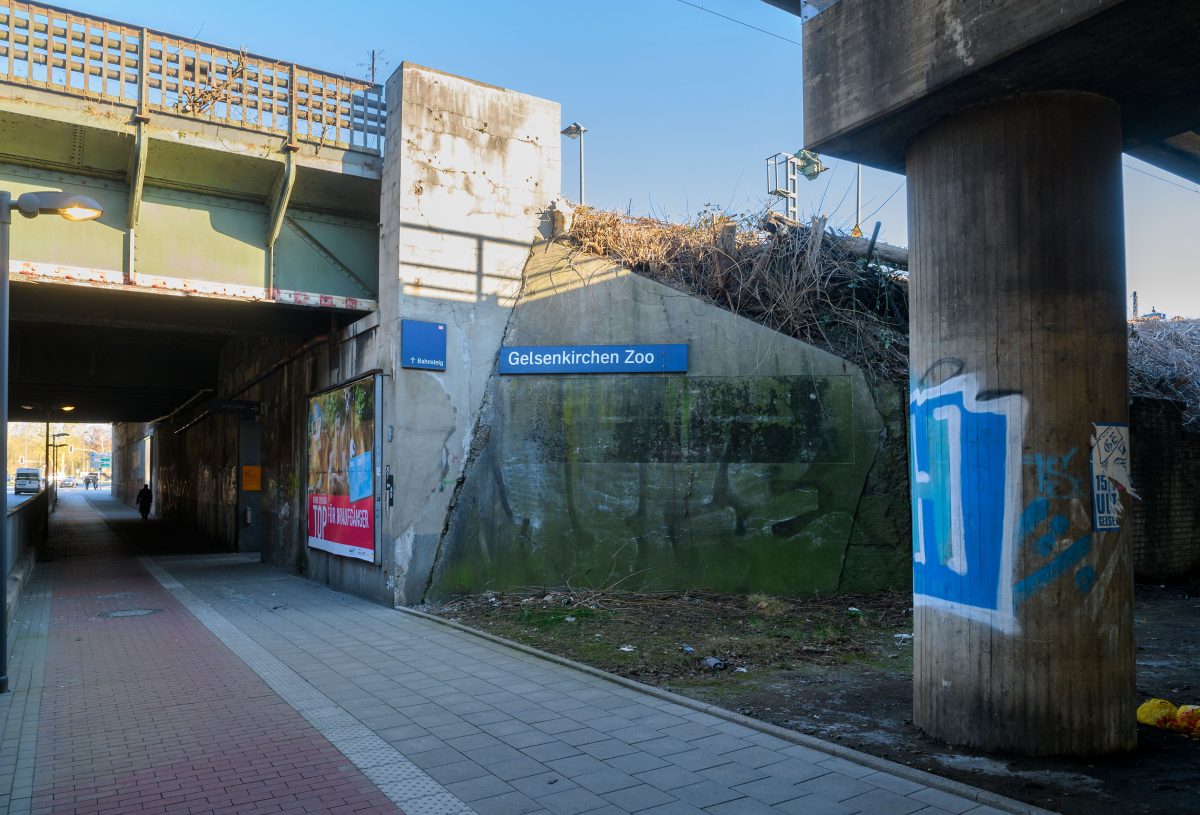 An einer Haltestelle in Gelsenkirchen machte eine Frau einen traurigen Fund.