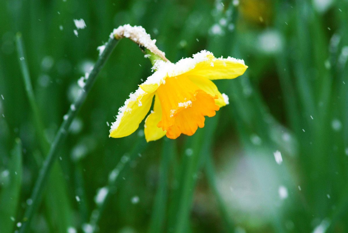 Wetter in NRW: erneuter Kälte-Einbruch in Sicht