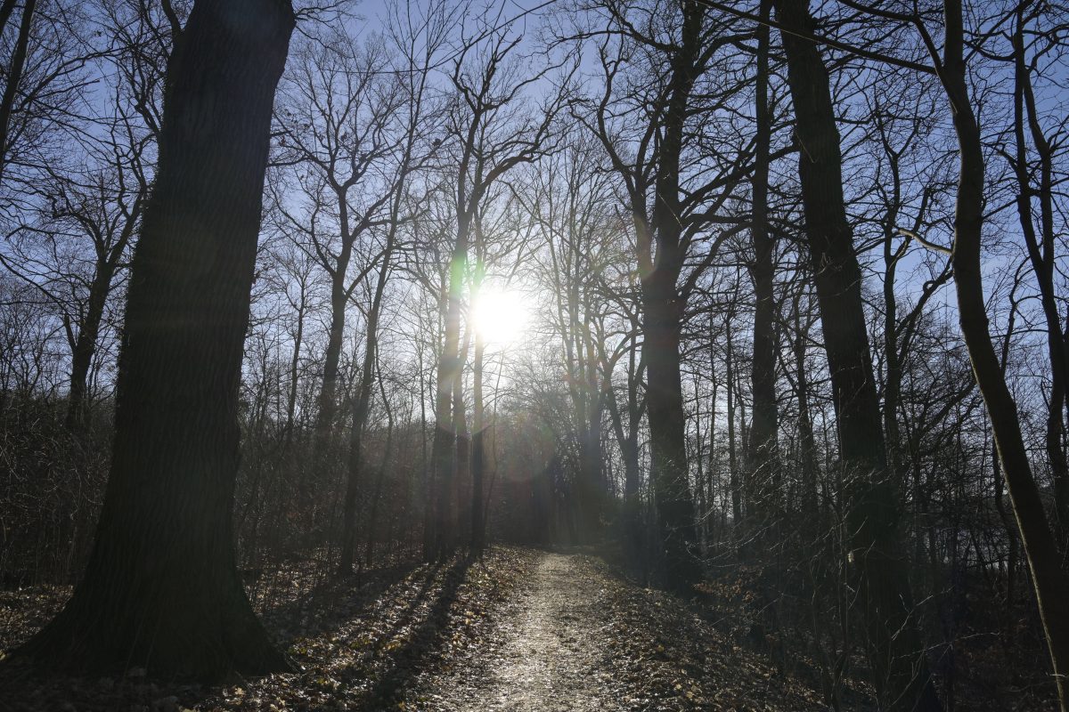 Wetter NRW Sonne Winter