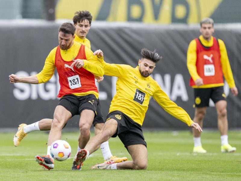 Borussia Dortmund BVB