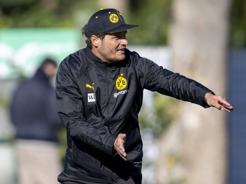 Borussia Dortmund: Über diese Wende würde sich auch Edin Terzic freuen.