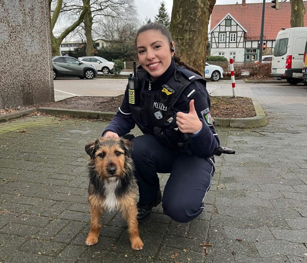 Charlie aus NRW wurde durch die Polizei in Obhut genommen und kurze Zeit später an den Besitzer übergeben.

