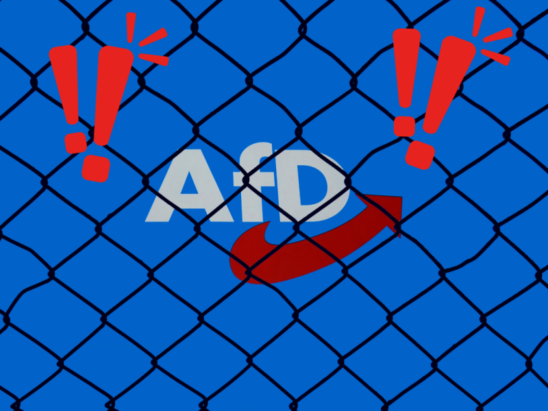 Der AfD-Landtags-Abgeordnete Lars Hünich kündigte für einen Brandenburg-Wahlsieg das Ende des Parteienstaats an.