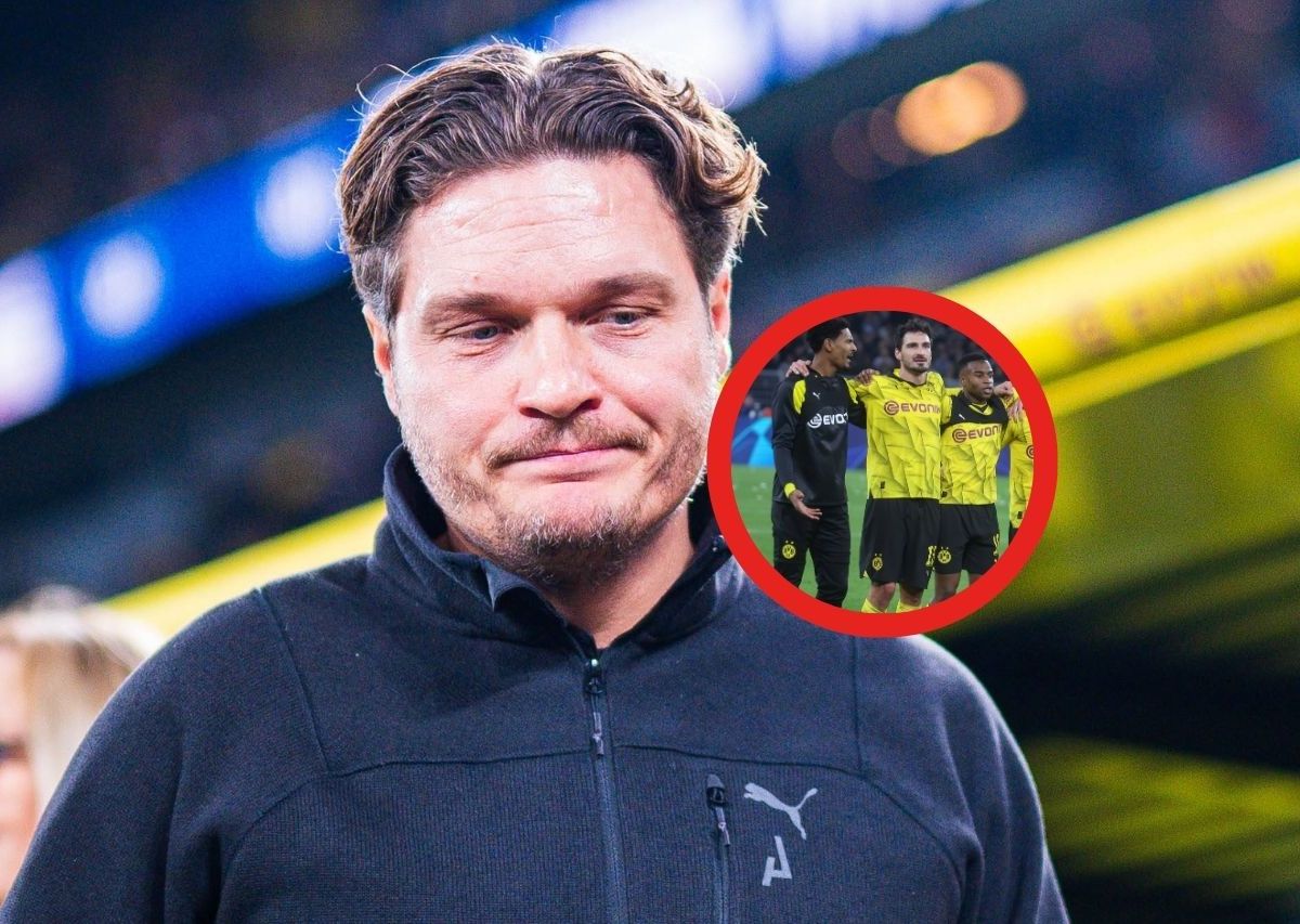 Borussia Dortmund BVB Haller