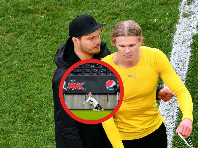 Borussia Dortmund BVB