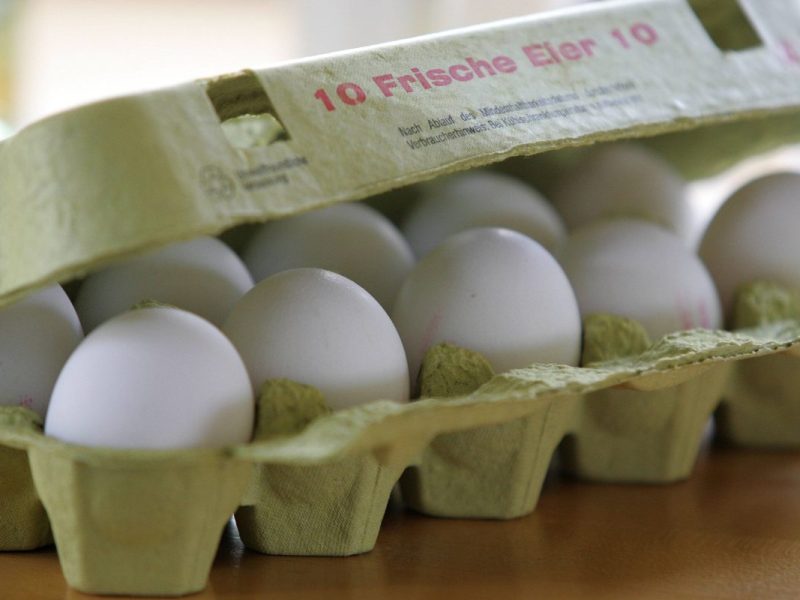 Aldi-Kunden kaufen Eier – als sie zuhause den Karton öffnen, trifft sie der Schlag