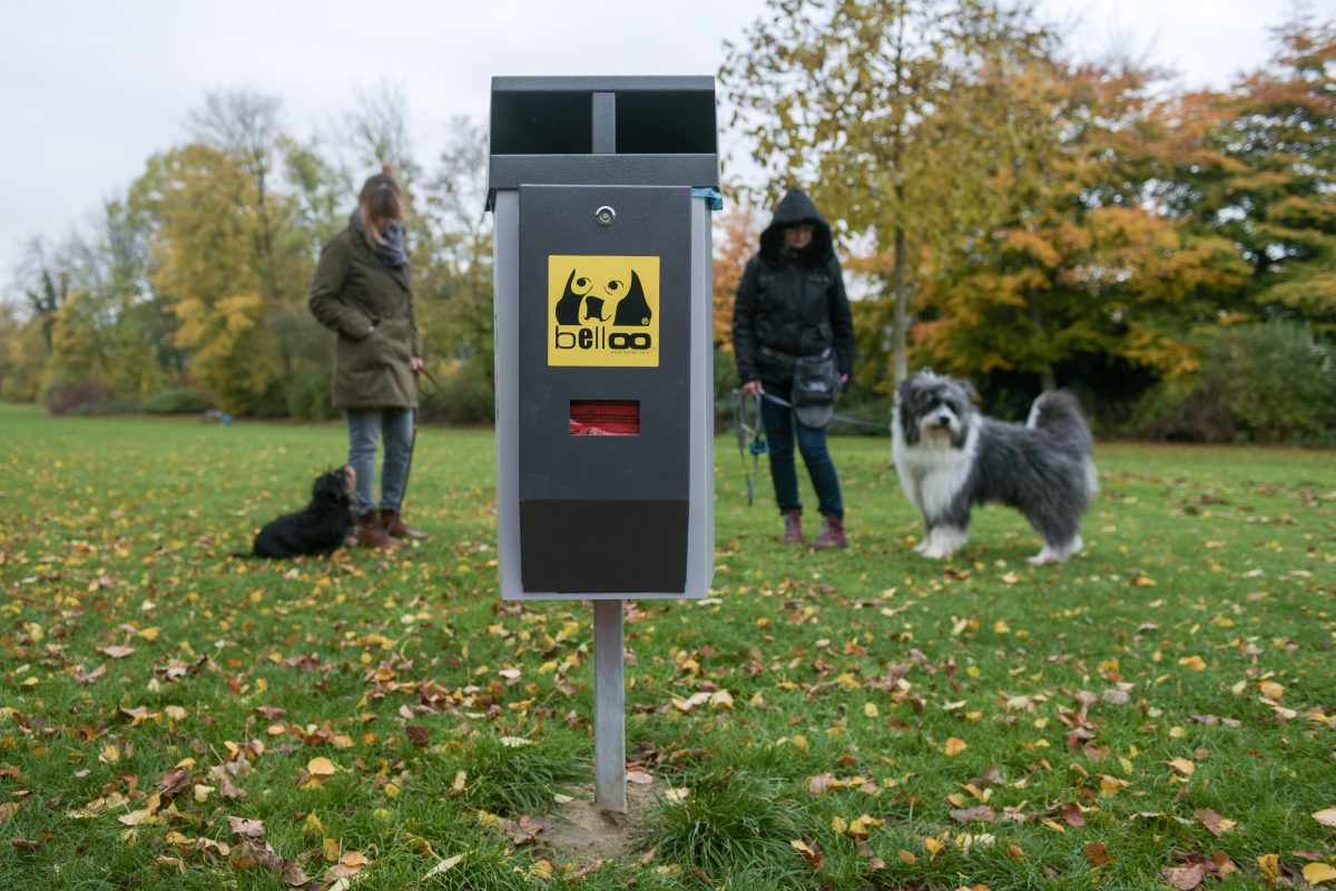 Bochum: So viel gibt die Stadt für Hundekot aus.