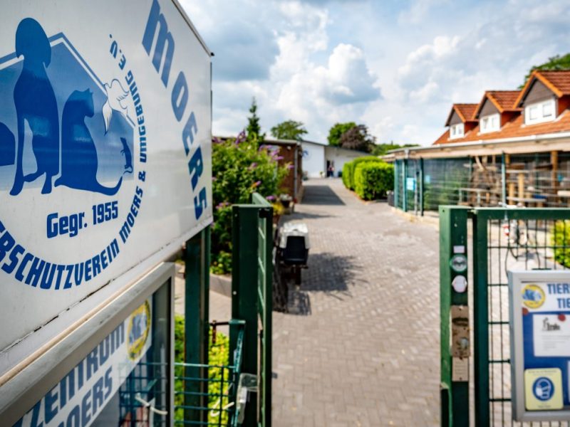 Tierheim NRW