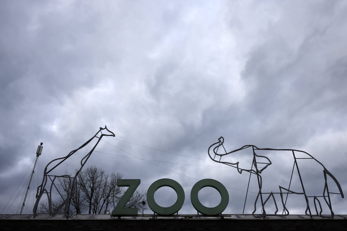 Zoo Köln: Mitarbeiter kämpfen mit Virus. Zoo wieder geöffnet.