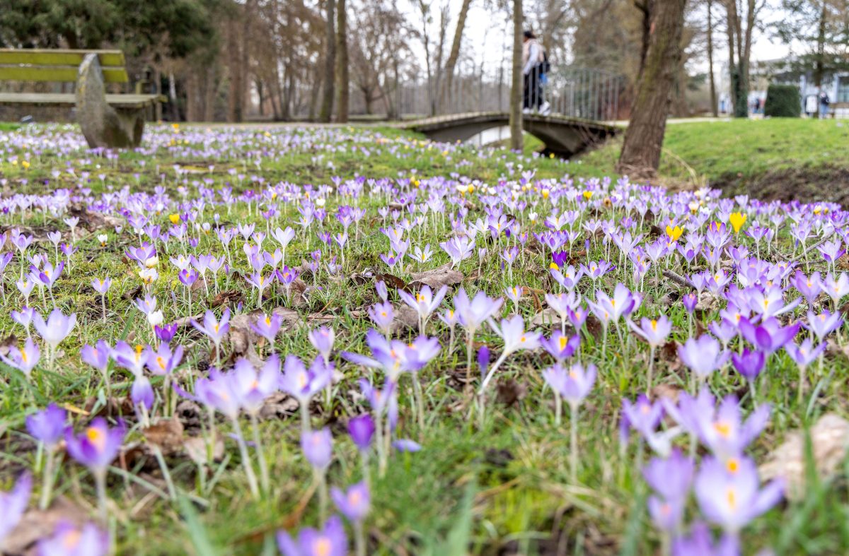 Wetter in NRW: milde Temperaturen gehen weiter