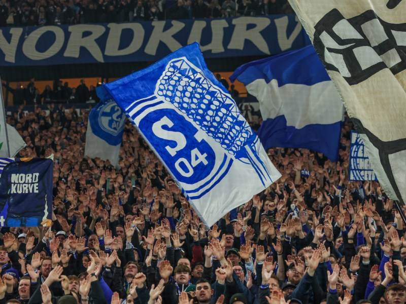 FC Schalke 04: Fans lachen sich ins Fäustchen – S04 & Co. lassen Bundesliga alt aussehen