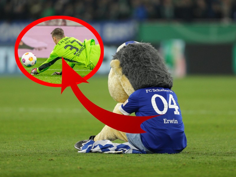 Schalke Schwolow