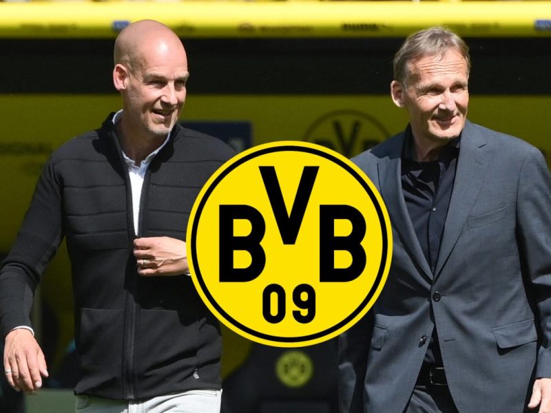 Welche Pläne hat Borussia Dortmund?