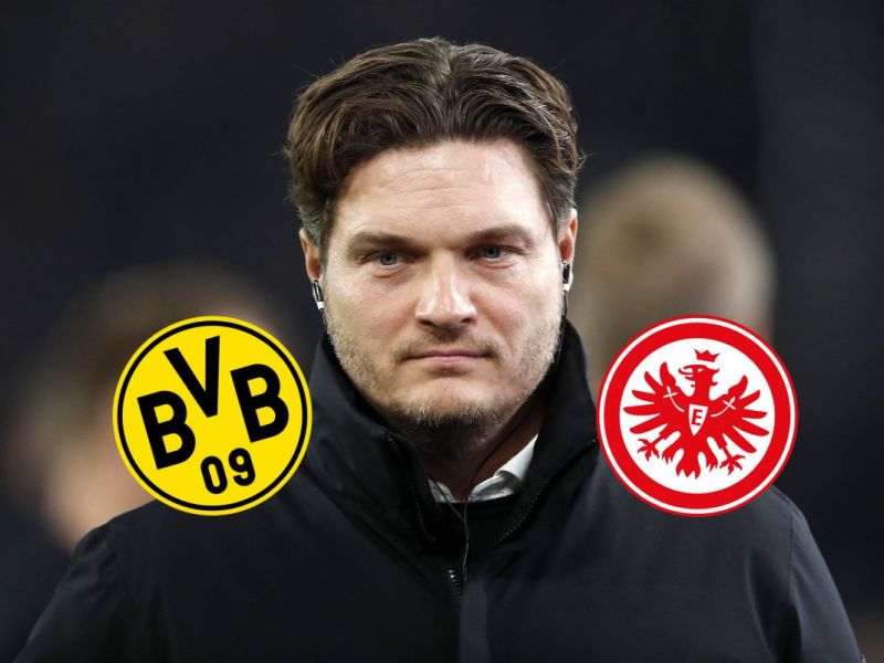 BVB - Frankfurt