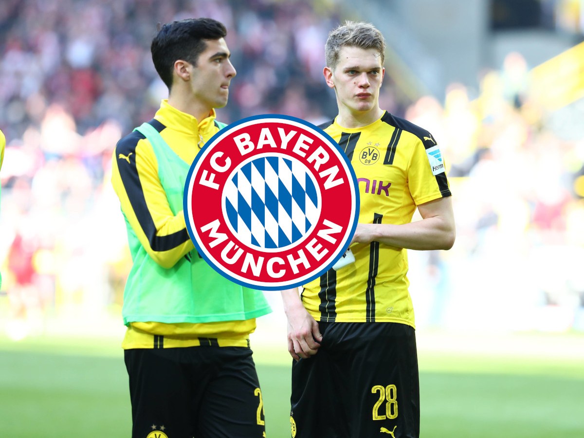 BVB Merino Bayern