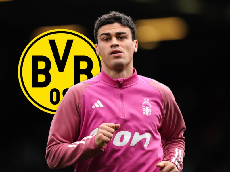 BVB Reyna