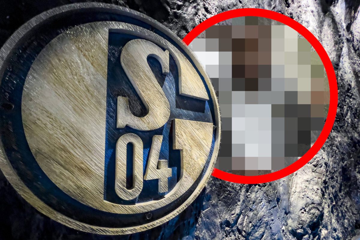 FC Schalke 04: Ist der Nachfolger fÃ¼r Andre Hechelmann schon gefunden?