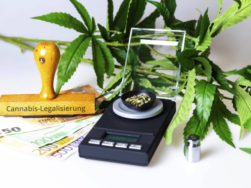 Cannabis