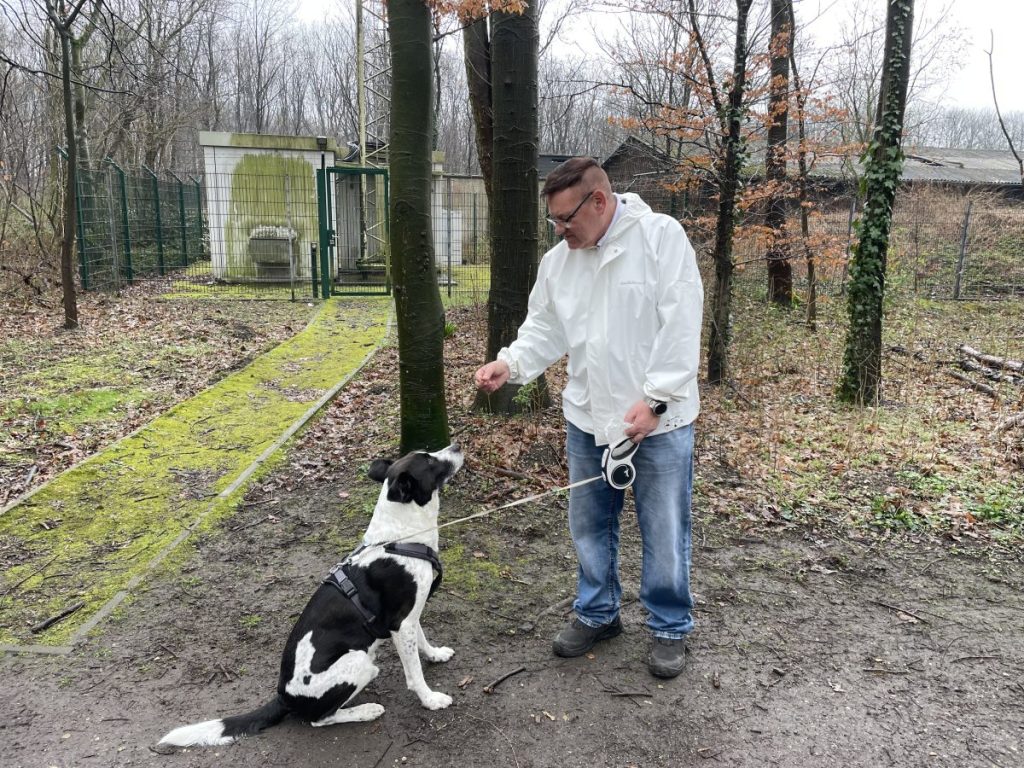 Mark Wayne Foster bei der Hundebetreuung mit Mischlings-Hund Moyo.