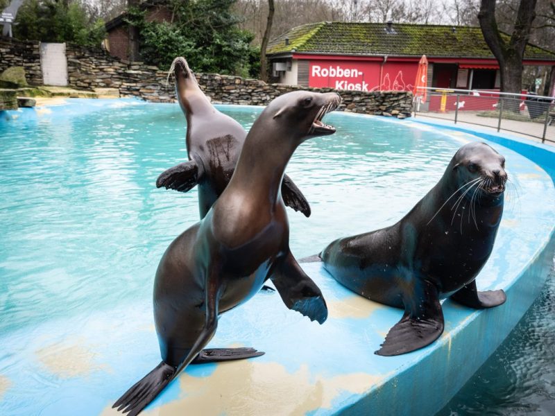 Zoo Duisburg