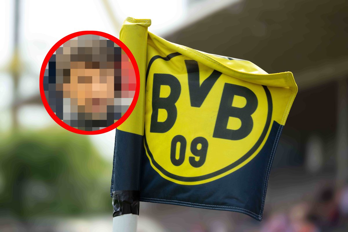 BVB Broich