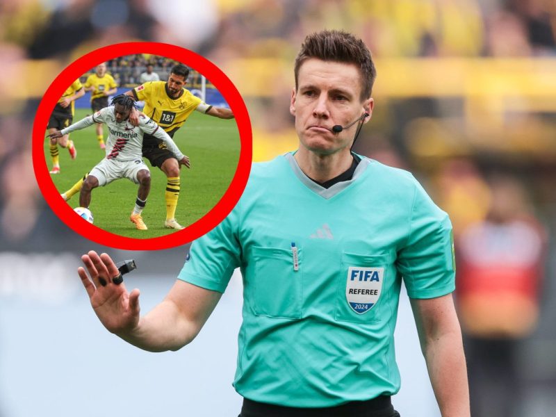 BVB Lev Siebert