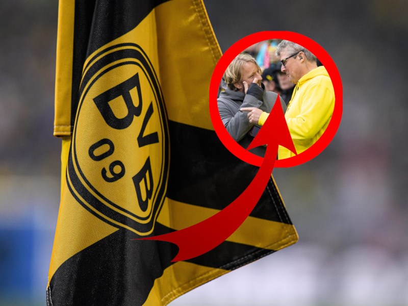 BVB Mislintat