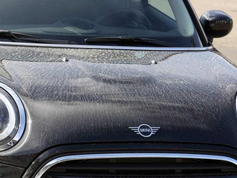 Im Verkehr sind wegen Sahara-Staub fast nur dreckige Autos unterwegs. Diesen Fehler sollte man beim Putzen vermeiden!