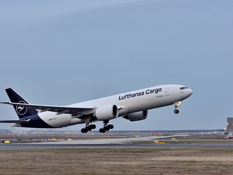 Lufthansa hat sich angeboten, Elefanten nach Deutschland zu transportieren.