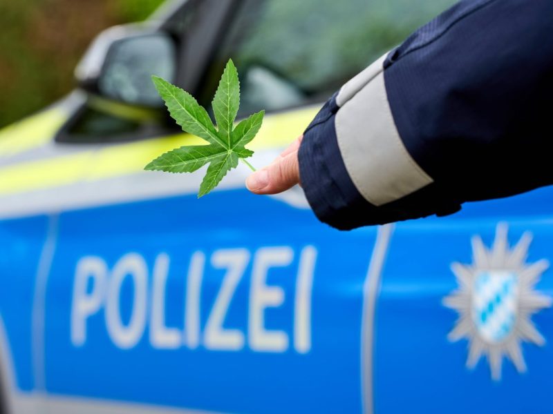 Die neuen Bußgelder für Cannabis können auch für Nicht-Raucher teuer werden.