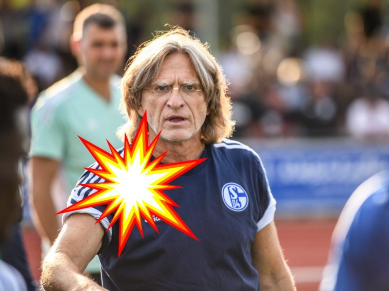 FC Schalke 04: Elgert mit heftiger Brandrede! S04-Trainerlegende haut auf den Tisch