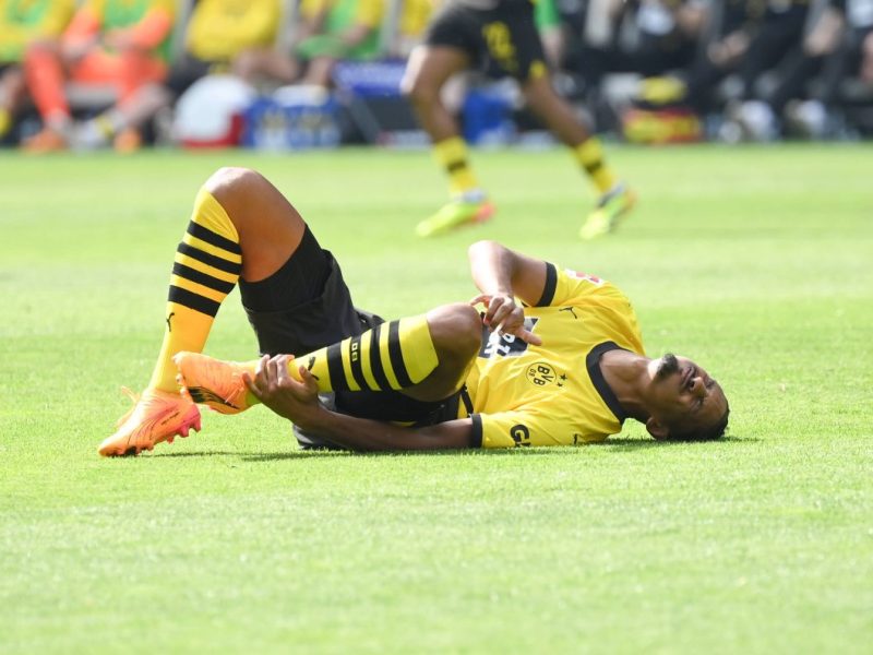 BVB Haller