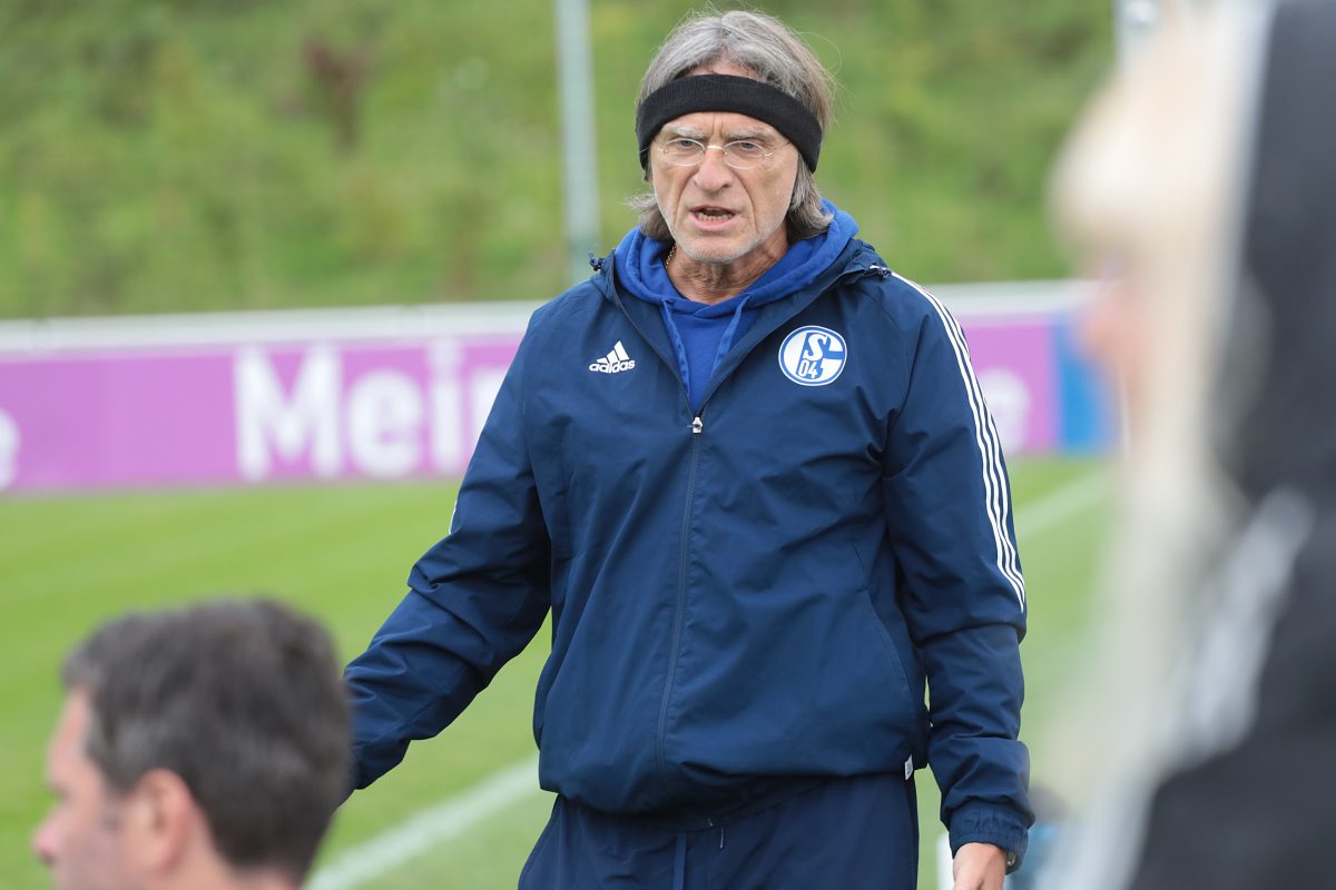 FC Schalke 04: Norbert Elgert