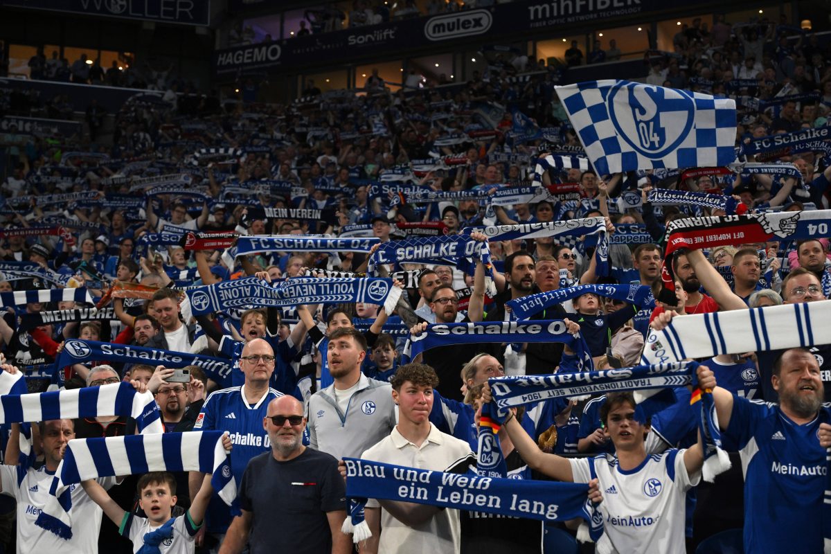 FC Schalke 04: GÃ¤stefans