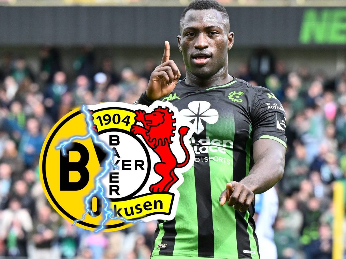 BVB Bayer Leverkusen Denkey