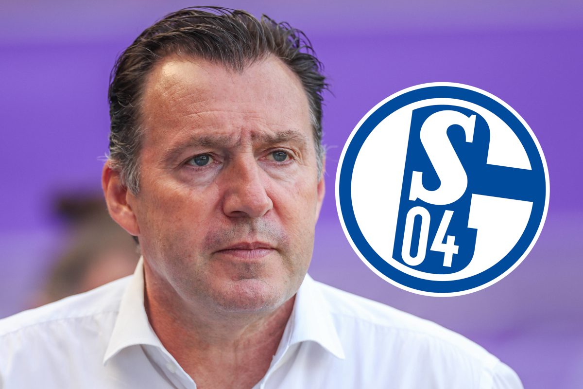 FC Schalke 04: Sportdirektor Marc Wilmots darf sich Ã¼ber zusÃ¤tzliche finanzielle Mittel freuen.