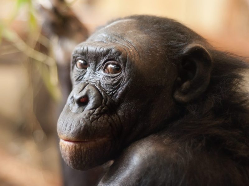 Im Zoo Wuppertal sorgten diese Fotos für viel Diskussion.