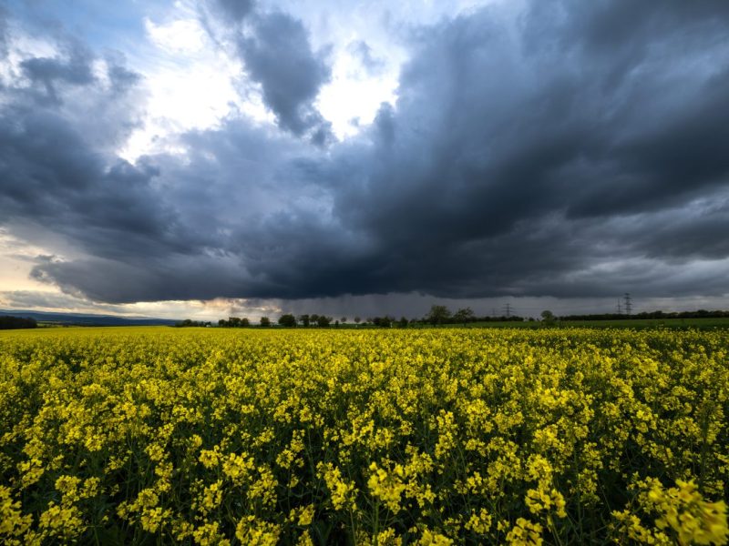 Wetter in NRW: Experte warnt vor Unwetter.