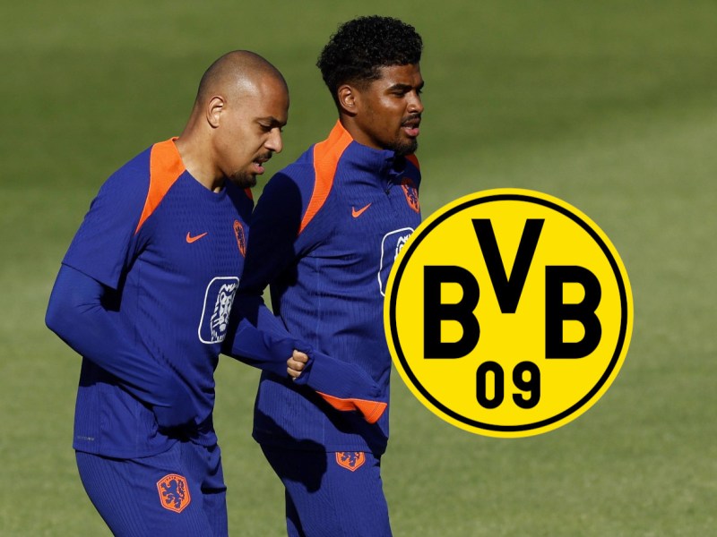 BVB Malen Em
