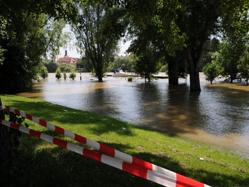 Hochwasser in Duisburg: Zahlreiche Tiere liegen tot am Ufer – ihr Anblick ist kaum zu ertragen!
