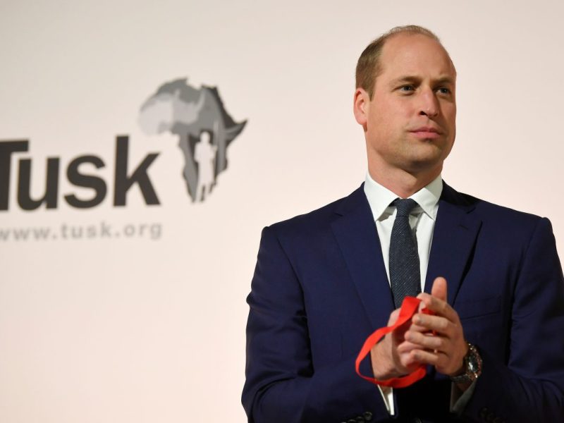Prinz William