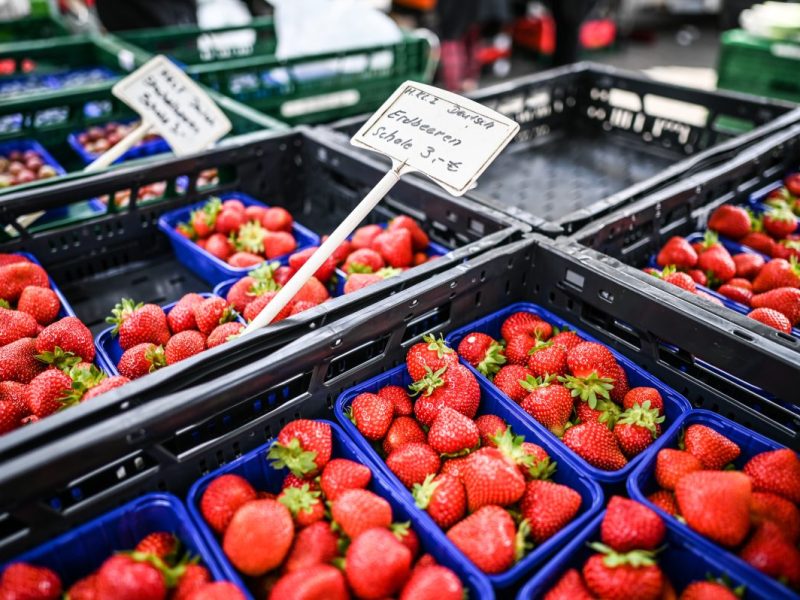 Lidl Erdbeeren