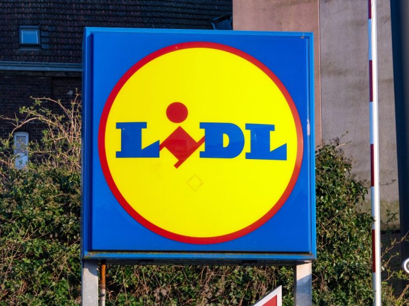 Lidl: Schock-Moment beim Discounter – Reptil spaziert über die Lade-Rampe