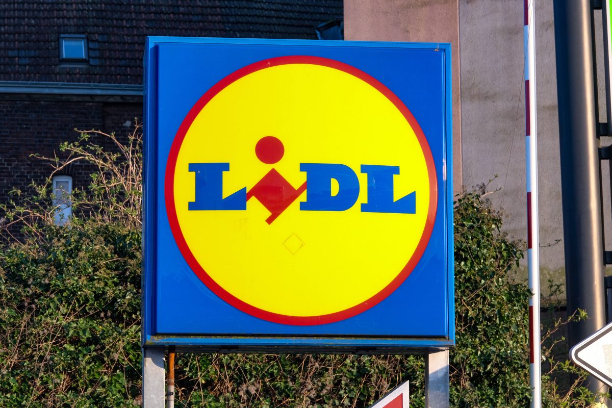 Lidl: Reptil sorgt für Schock-Moment.